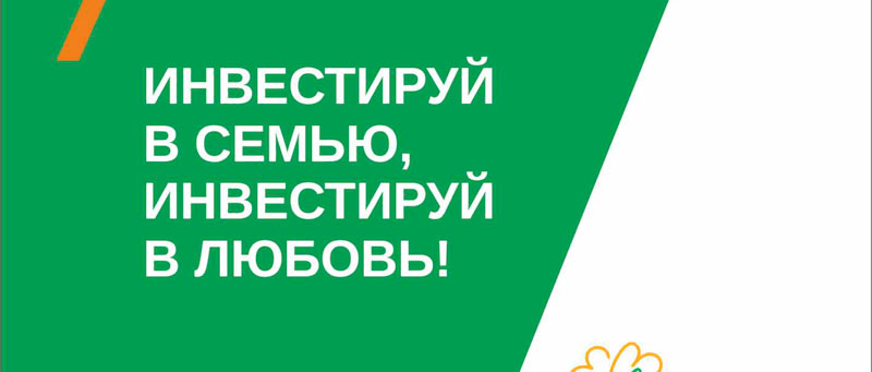 Инвестиция 235x100